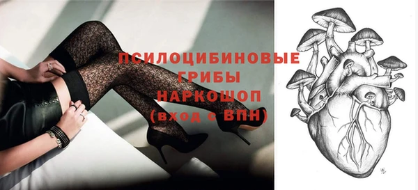 амф Арсеньев