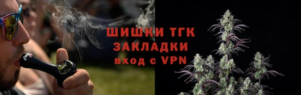 амф Арсеньев