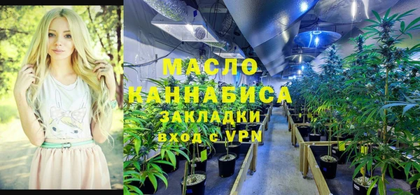 амф Арсеньев
