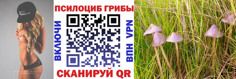 Галлюциногенные грибы ЛСД Валдай